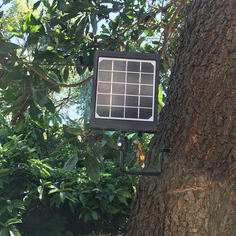 8000-Ah-Solarmodul-Ladegerät für Wildlife-Tracking-Kamera